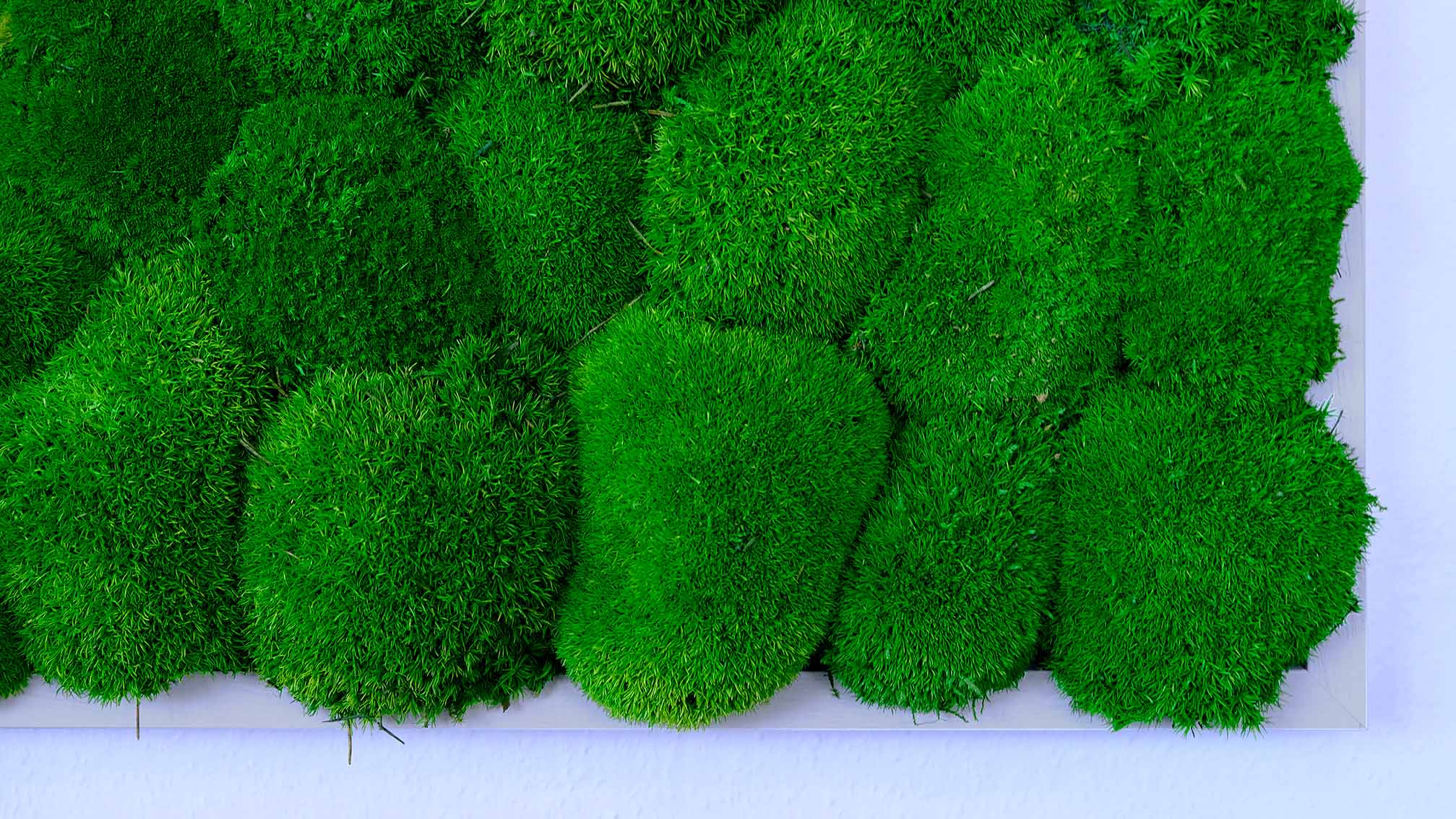 as-hydroplant-agiplan-Backgrond-005