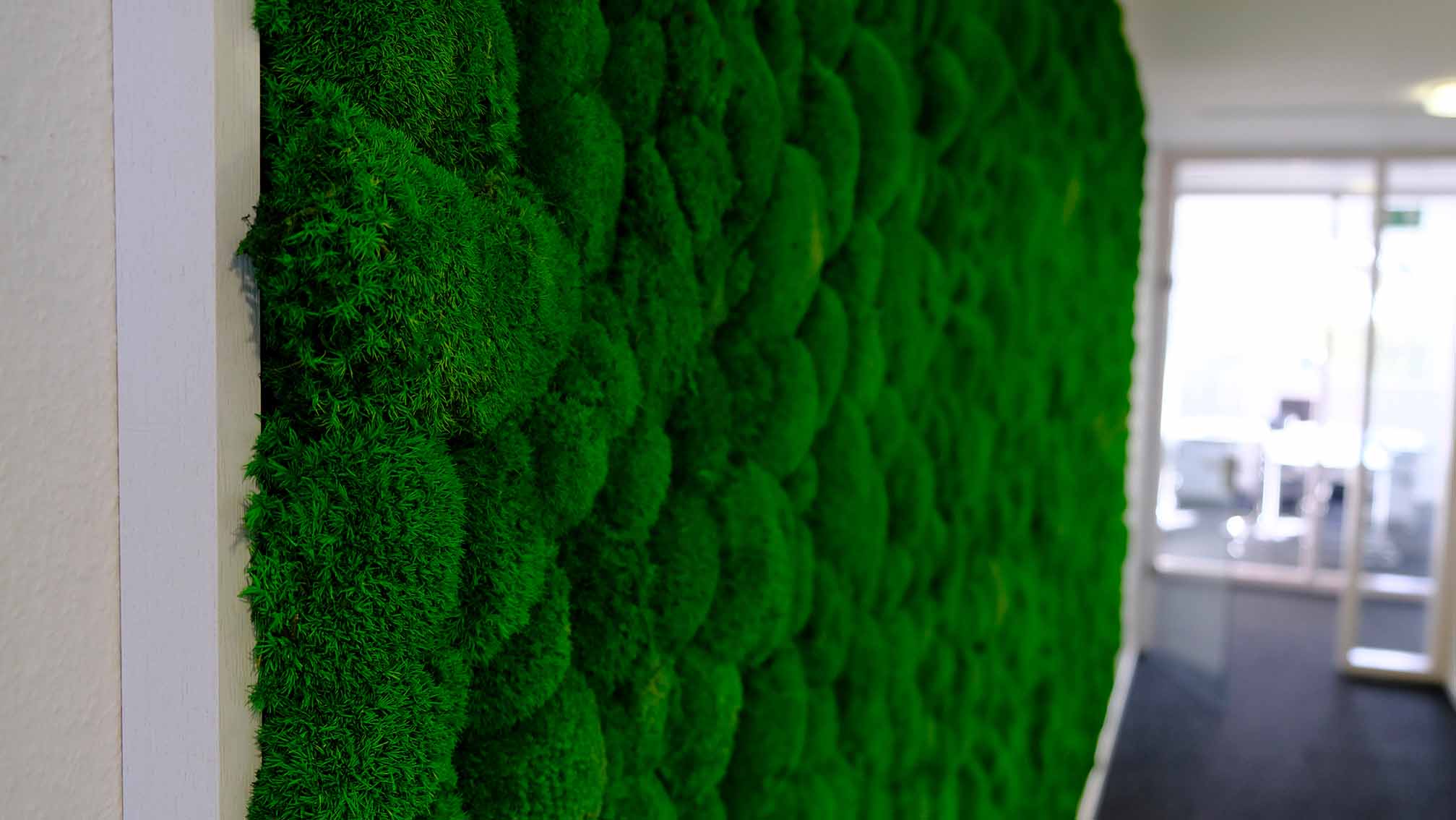 as-hydroplant-agiplan-Backgrond-013