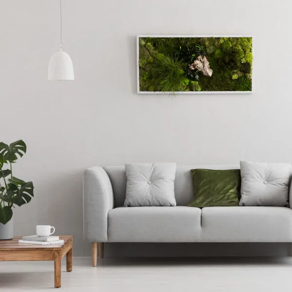 mooswand-wohnzimmer-sofa